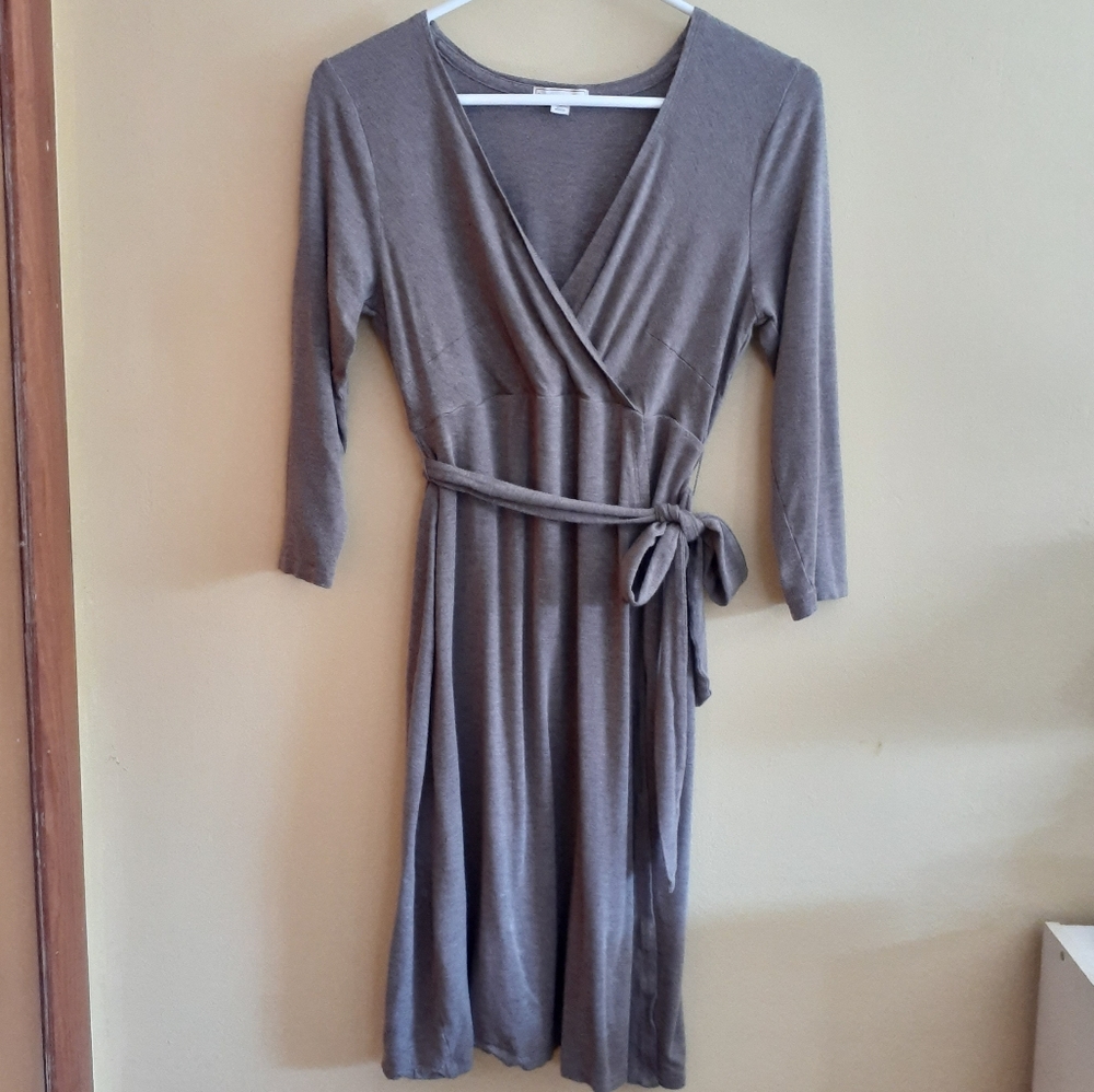Gap Maternity Dress